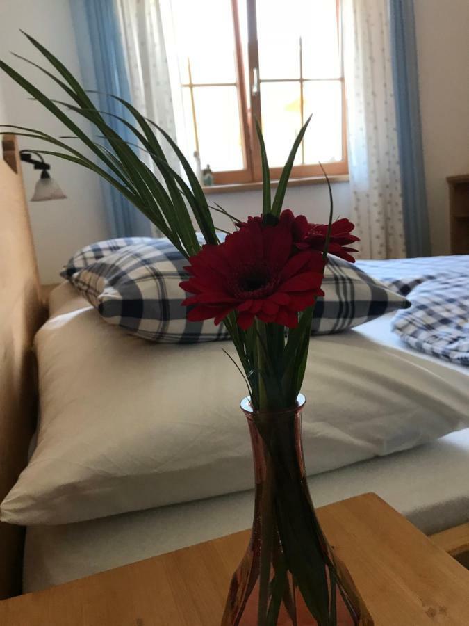 Ferienwohnung Gruber-Hansen Kaltenbach Eksteriør bilde